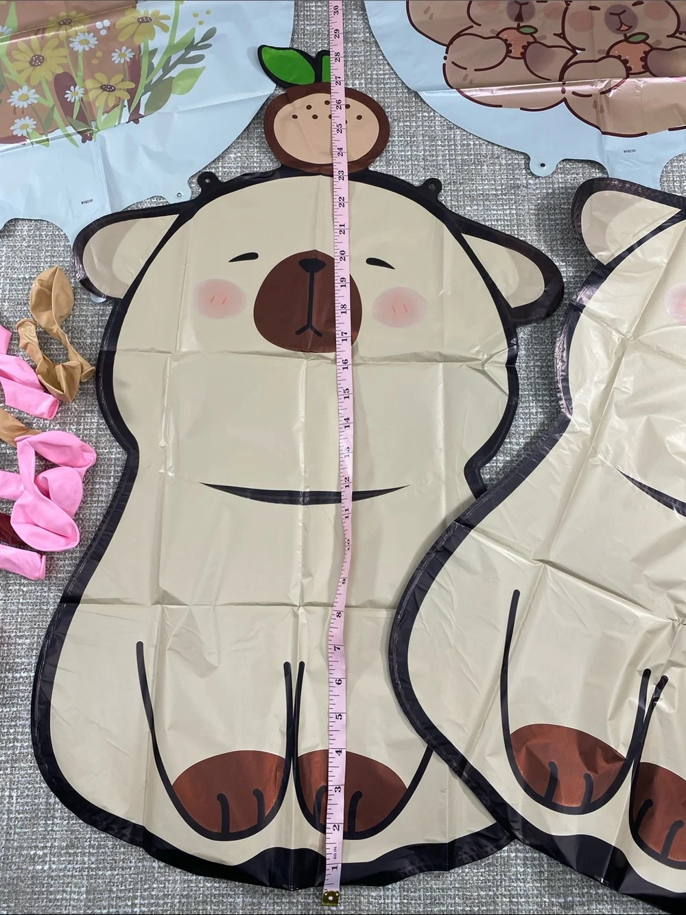 Happy Birthday Pink Party Backdrop Banner Capybara birthday party ballons